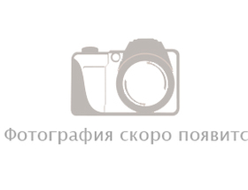 51 этаж - 220 м<sup>2</sup>